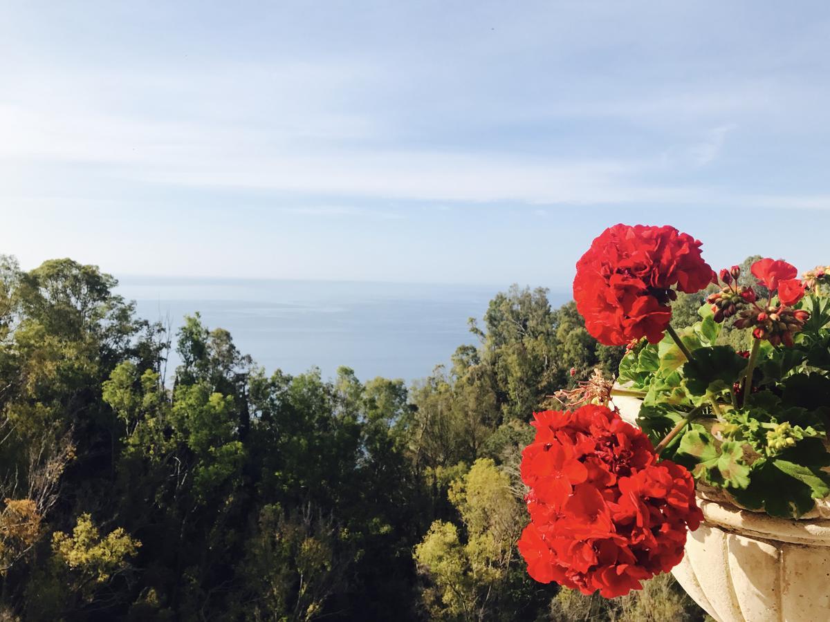 טאורמינה Hotel Villa Riis מראה חיצוני תמונה